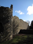 SX12418 Walls of Ewenny Priory.jpg